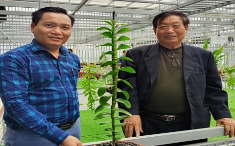 GS. TSKH Trần Duy Quý: Thị trường lan VAR ngày càng phát triển sôi động